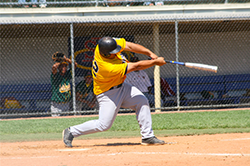 Baseball player higging a ball