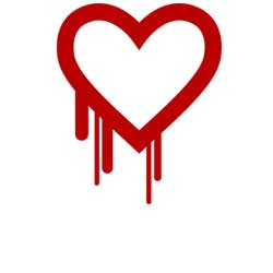 The Heartbleed Bug