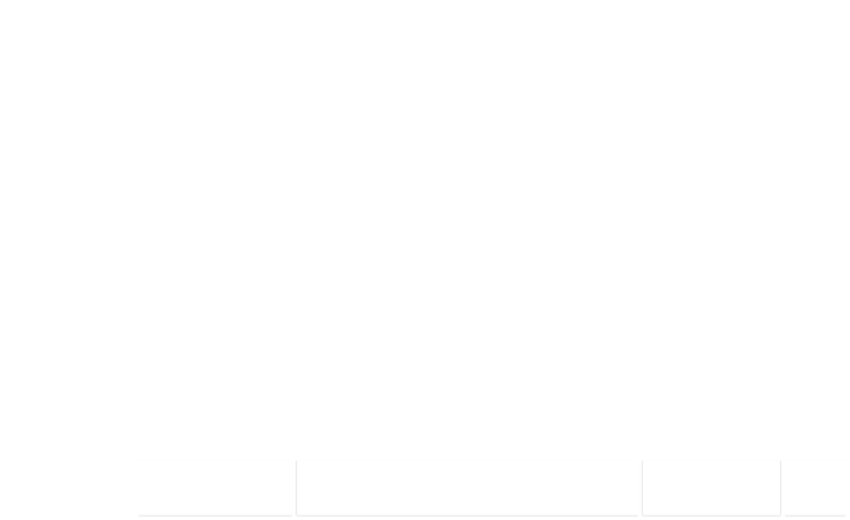PDHI Logo White